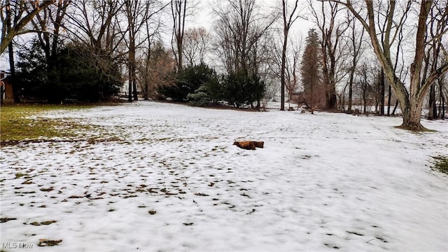 view of snowy yard