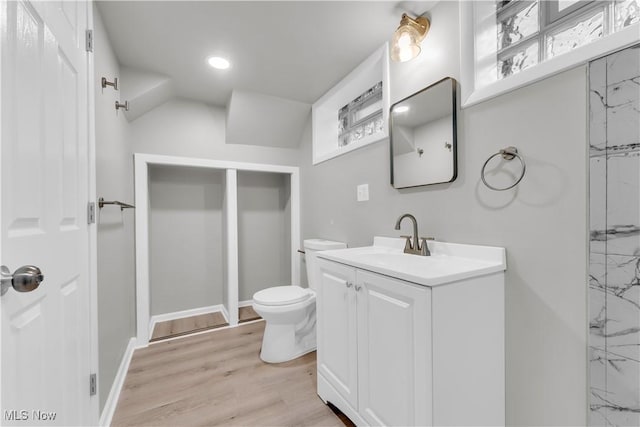 bathroom with vanity, hardwood / wood-style flooring, a shower, and toilet