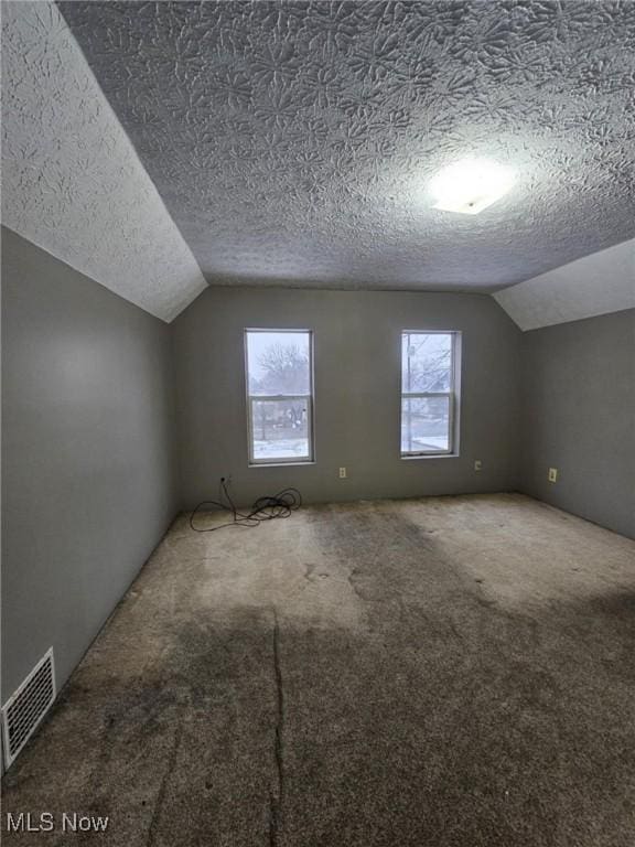 additional living space with vaulted ceiling, carpet floors, and a textured ceiling