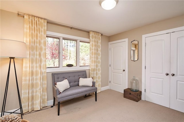 sitting room featuring carpet flooring