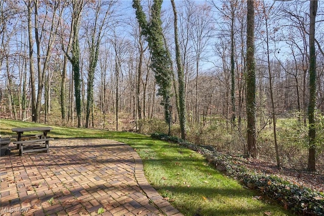 view of property's community featuring a patio and a yard