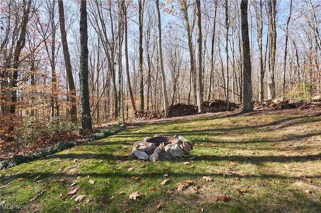 view of yard with an outdoor fire pit