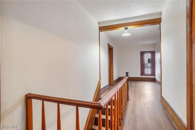 hallway with hardwood / wood-style flooring