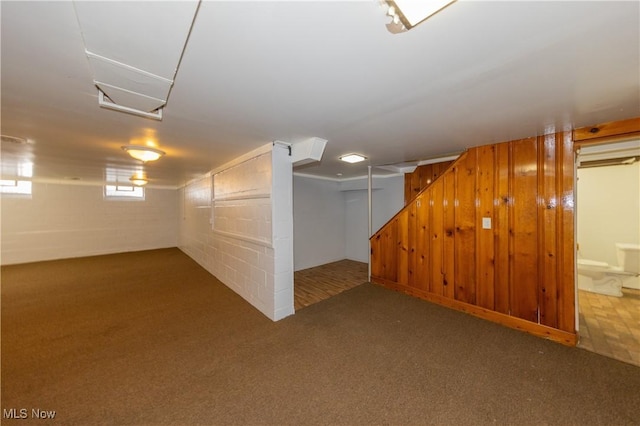 basement featuring carpet