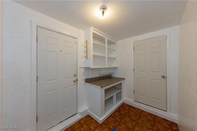 mudroom with dark parquet floors