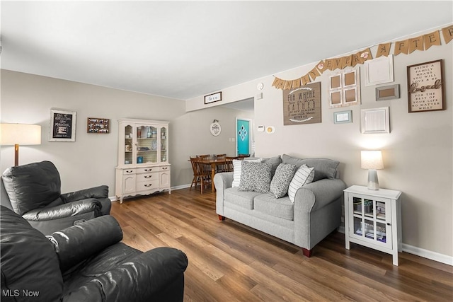 living room featuring hardwood / wood-style floors