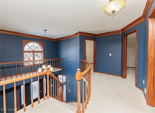 corridor with crown molding and carpet