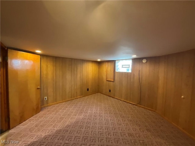 basement with wooden walls