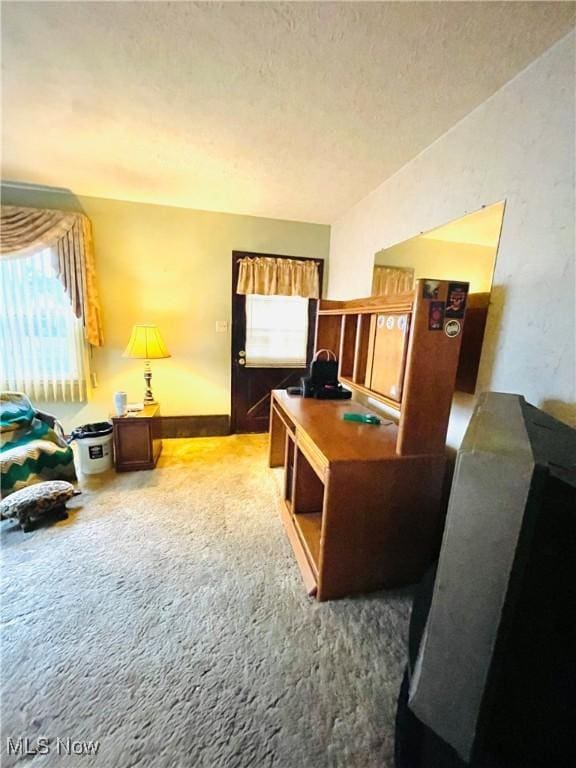 home office with carpet floors and a textured ceiling