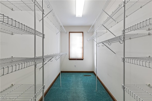 5420 Cloisters Dr, Canfield, OH 44406 - walk in closet featuring carpet flooring