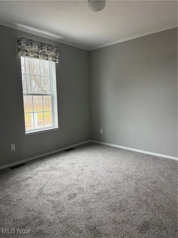 carpeted empty room with ornamental molding