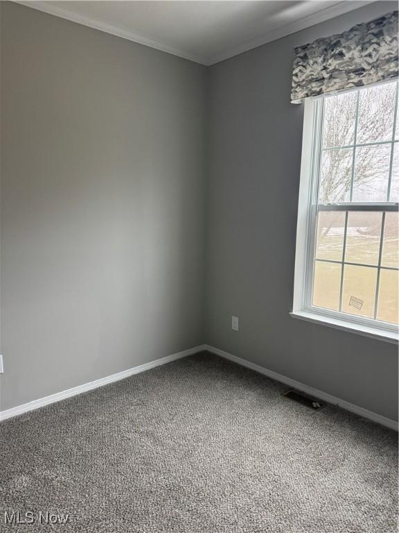 carpeted spare room with ornamental molding