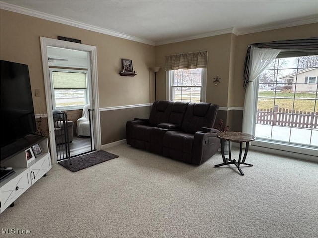 carpeted living room with ornamental molding