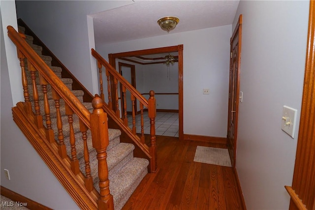 stairway with wood-type flooring