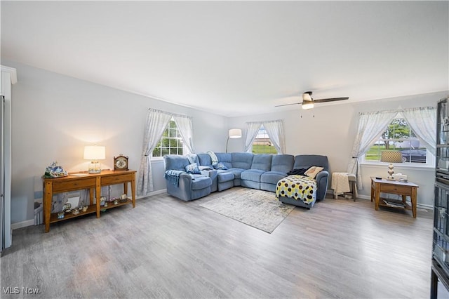 living room featuring ceiling fan and hardwood / wood-style floors