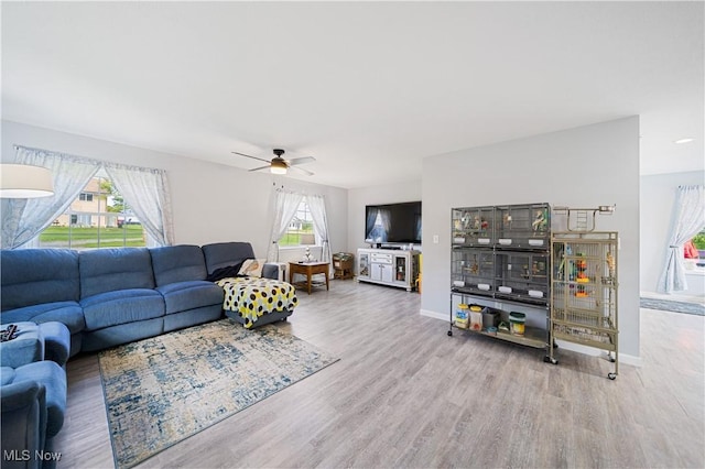 living room with light hardwood / wood-style flooring and ceiling fan