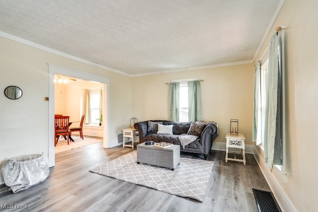 living room featuring hardwood / wood-style flooring, ornamental molding, and a textured ceiling