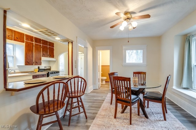 dining space with ceiling fan, sink, a textured ceiling, and light hardwood / wood-style flooring