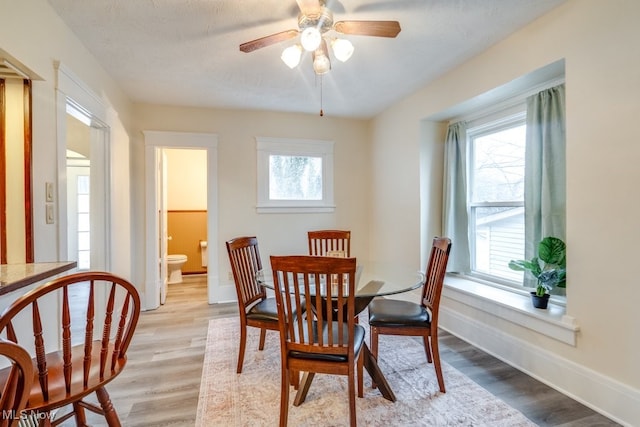 dining space featuring ceiling fan, light wood-type flooring, and a wealth of natural light