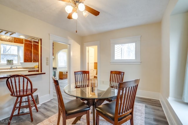 dining area with plenty of natural light, sink, and hardwood / wood-style floors