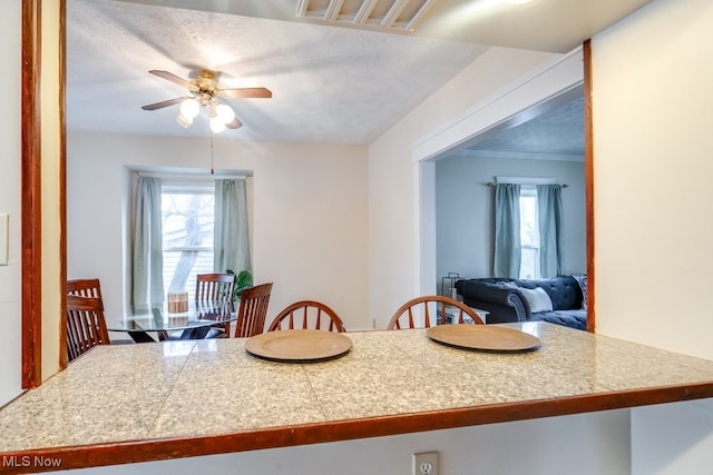 dining area featuring a wealth of natural light, a textured ceiling, and ceiling fan