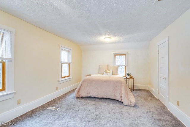 bedroom featuring multiple windows, carpet, and a textured ceiling