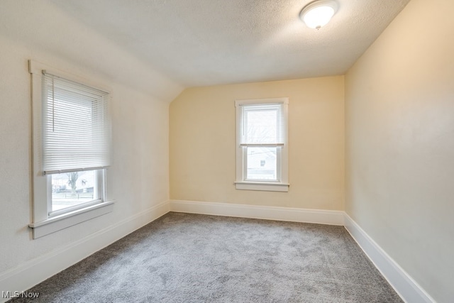 additional living space featuring vaulted ceiling, carpet, a healthy amount of sunlight, and a textured ceiling