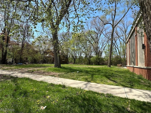 2288 W 14th St, Cleveland, OH 44113 - photo 4