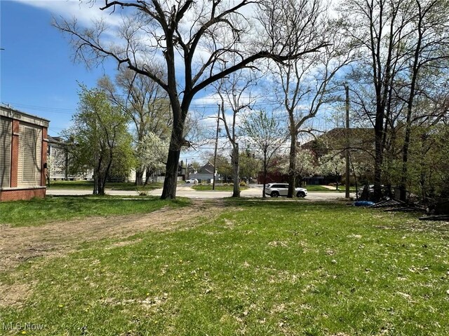 2288 W 14th St, Cleveland, OH 44113 - photo 7