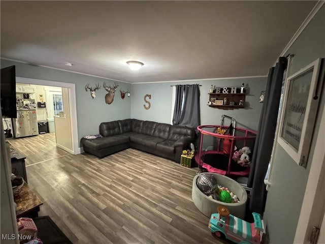 living room featuring wood-type flooring and ornamental molding