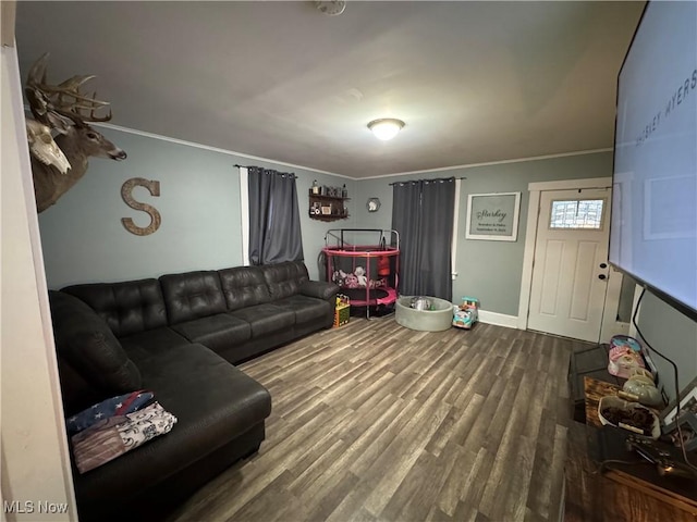 living room with wood-type flooring and ornamental molding