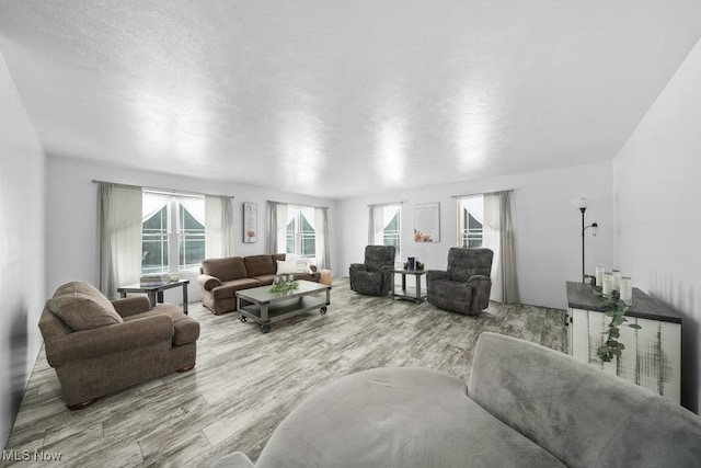 living room featuring light hardwood / wood-style flooring