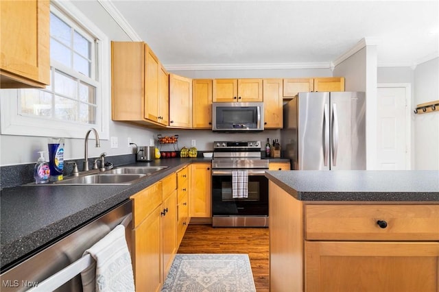 kitchen with light brown cabinetry, sink, crown molding, light wood-type flooring, and appliances with stainless steel finishes