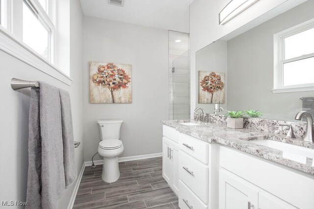 bathroom with vanity, toilet, and a shower with shower door