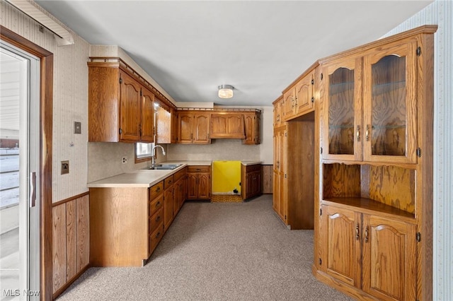 kitchen featuring sink and light colored carpet