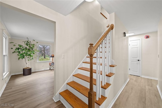 stairway with hardwood / wood-style floors