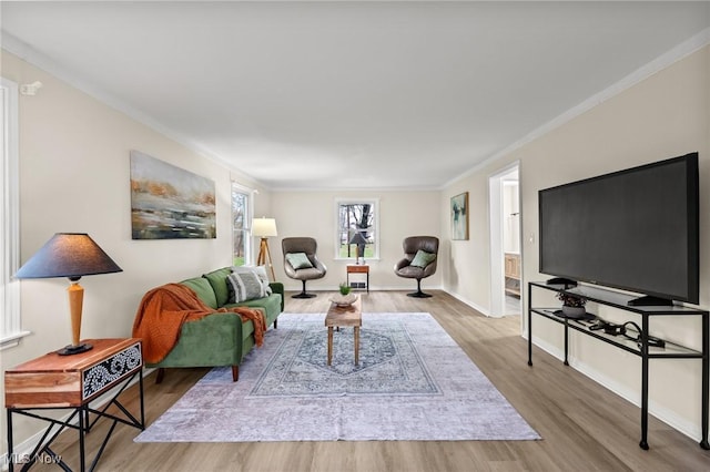 living room with crown molding and wood-type flooring