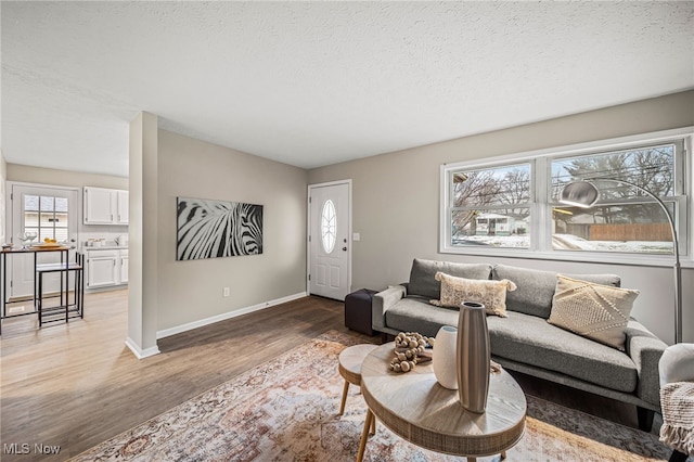 living room featuring hardwood / wood-style floors, a wealth of natural light, and a textured ceiling