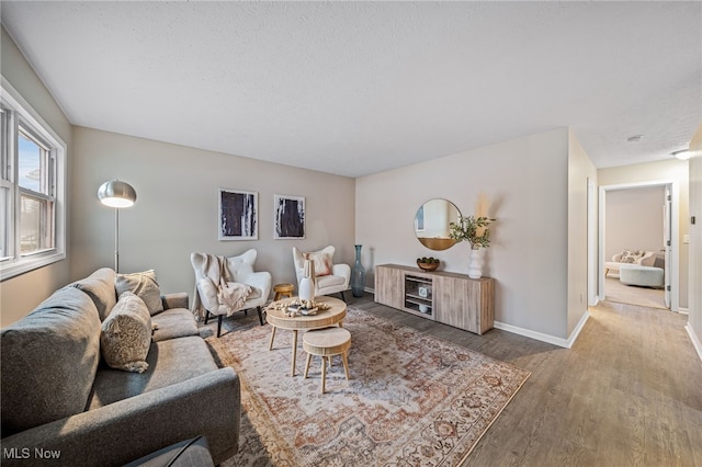 living room with hardwood / wood-style flooring and a textured ceiling