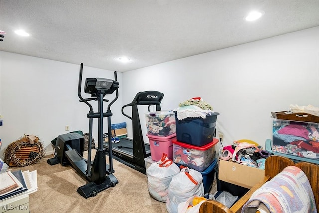 24886 Sherman St, Homeworth, OH 44634 - exercise room with recessed lighting and carpet