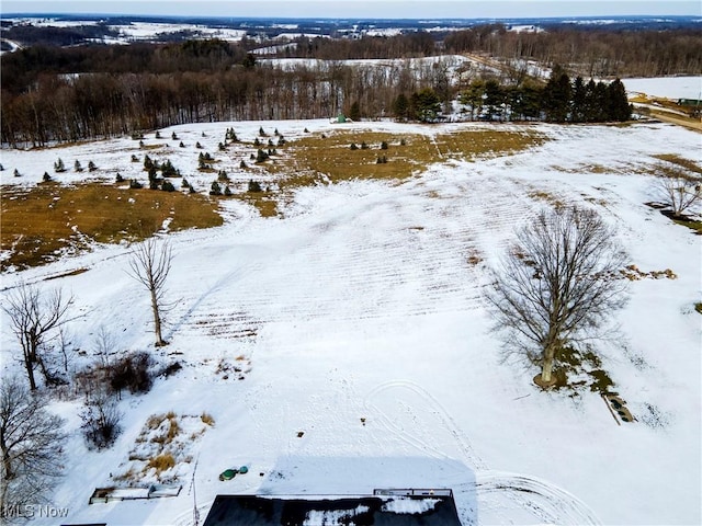 24886 Sherman St, Homeworth, OH 44634 - view of snowy aerial view