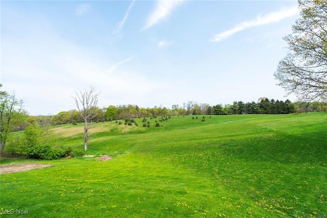 24886 Sherman St, Homeworth, OH 44634 - view of community with a lawn