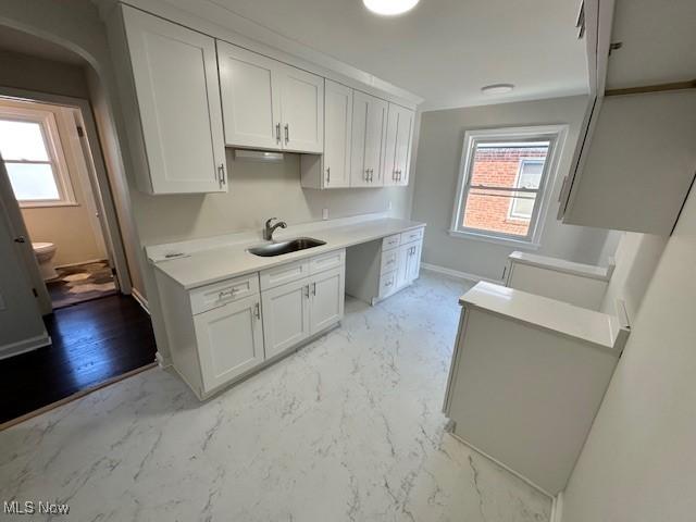 kitchen featuring sink, a wealth of natural light, and white cabinets