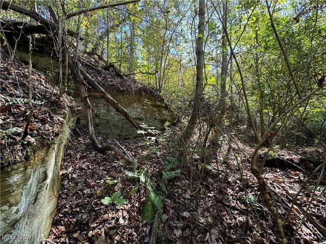 Brackenridge Rd, Vincent, OH 45784