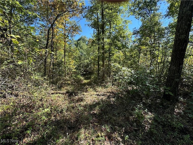 Brackenridge Rd, Vincent, OH 45784