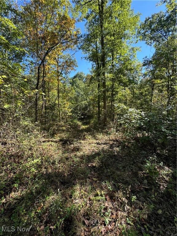 Brackenridge Rd, Vincent, OH 45784