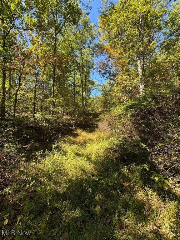 Brackenridge Rd, Vincent, OH 45784