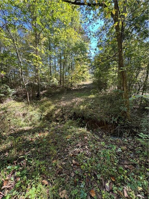 Brackenridge Rd, Vincent, OH 45784