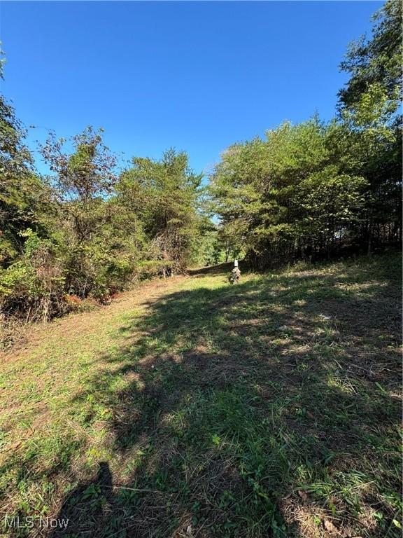 Brackenridge Rd, Vincent, OH 45784