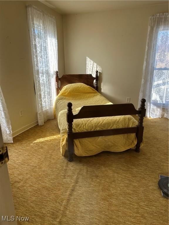 bedroom featuring carpet floors